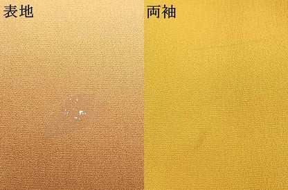 平和屋着物●豪華振袖　花蝶文　暈し染め　金銀彩　正絹　逸品　AABK1308fy