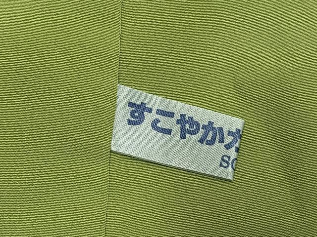 平和屋着物●江戸小紋　染師 高木章　伊勢型写小紋　本草木染　横段文　丹後ちりめん　反端付き　正絹　逸品　AABK1365fy