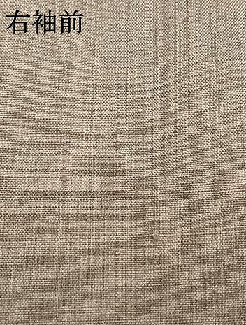 平和屋着物●訪問着　紬地　手描き　枝花文　正絹　逸品　AABK1390fy