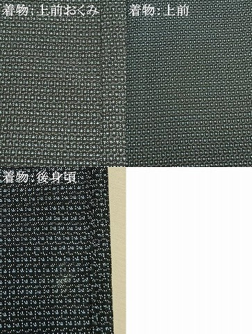 平和屋着物●男性　本場大島紬　アンサンブル　150亀甲　総詰め　正絹　逸品　AABK1399fy
