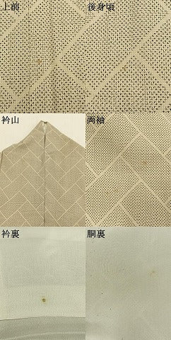 平和屋着物●綿薩摩　檜垣文　木綿　逸品　AABK1434fy