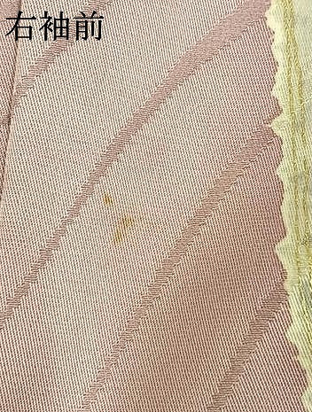 平和屋着物●豪華振袖　駒刺繍　花蝶文　暈し染め　金彩　正絹　逸品　AABK1481fy