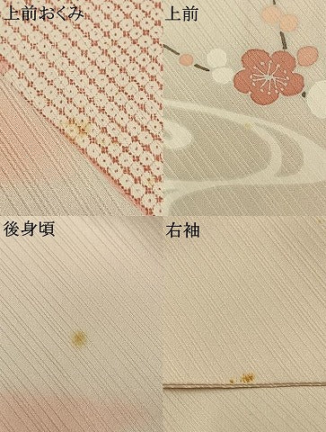 平和屋着物●訪問着　刺繍　花鳥文　暈し染め　金彩　正絹　逸品　AABK1502fy