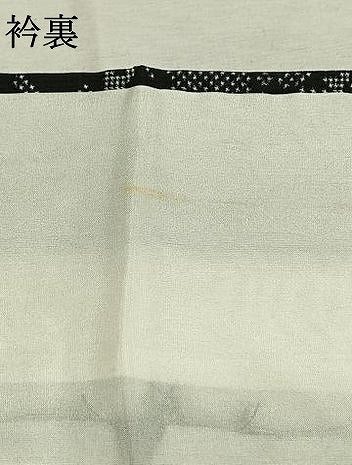 平和屋着物●本場大島紬　草花文　黒地　正絹　逸品　AABK1570fy