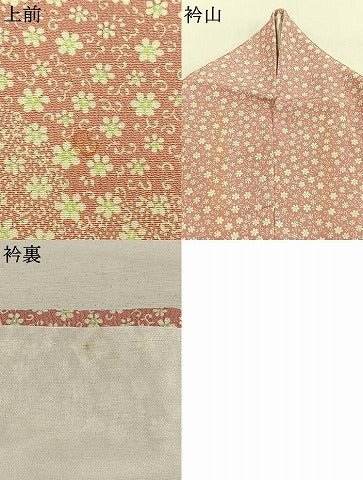 平和屋着物●江戸小紋　訪問着　花唐草文　正絹　逸品　AABK1584fy