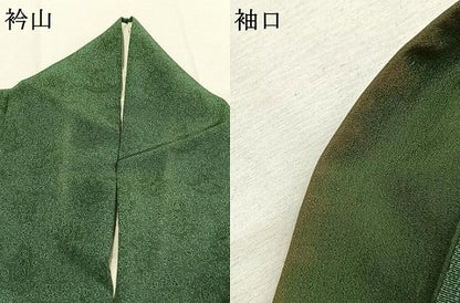 平和屋着物●重要無形文化財　人間国宝　中村勇二郎　江戸小紋　国宝平等院雲中供養菩薩像五十二　正絹　逸品　AABK1642fy