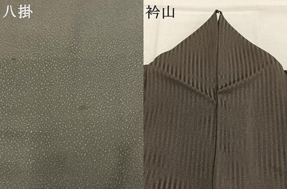 平和屋着物●訪問着　雪輪花文　蛍暈し　金銀彩　正絹　逸品　AABK1653fy