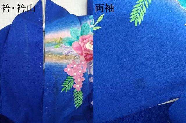 平和屋着物●豪華振袖・長襦袢(無双仕立て)セット　草花文　薔薇　バラ　暈し染め　金彩　ロング丈　半衿刺繍　正絹　逸品　AABK1749cs