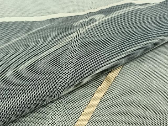平和屋着物▽訪問着　無双　紗袷　紗×紗　立波文　金彩　正絹　逸品　AABK2051jh