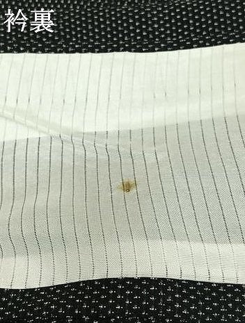 平和屋着物▽本塩沢　単衣　蚊絣　正絹　逸品　AABK2052jh