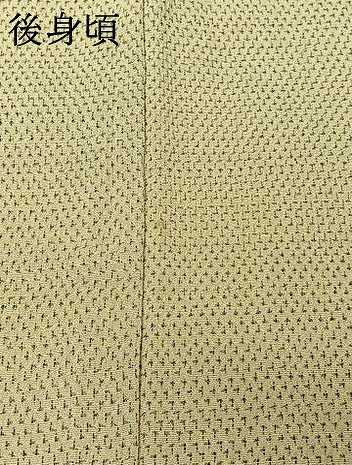 平和屋着物▽本塩沢　単衣　蚊絣　正絹　逸品　AABK2069jh