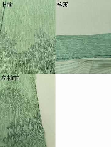 平和屋着物▽男性　訪問着　無双　紗袷　紗×紗　風景文　正絹　逸品　AABK2081jh