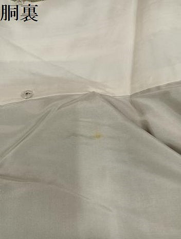 平和屋着物●本場結城紬　重要無形文化財　100亀甲　遠州七宝文　ロング丈　正絹　逸品　未使用　AABK2231ph