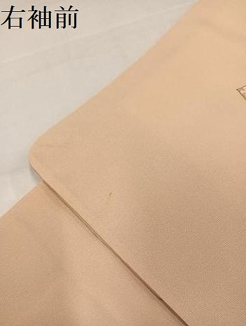 平和屋着物●訪問着　駒刺繍　葡萄草花文　金彩　正絹　逸品　AABK2256ph