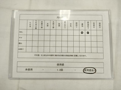 平和屋着物◎六通柄　本袋帯　唐織　飾花文　銀糸　正絹　逸品　AABK2494pf