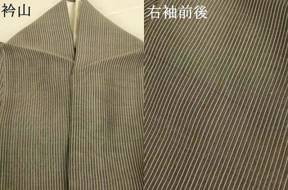 平和屋着物＊夏物　紗紬　縞　正絹　逸品　AABK2601jd