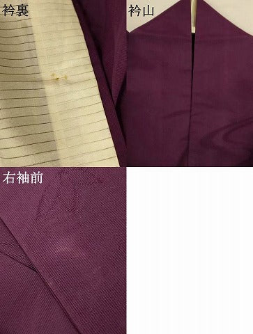 平和屋着物＊夏物　色無地　縦絽　舞葉紋紗　正絹　逸品　AABK2612jd