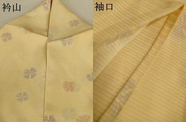 平和屋着物＊夏物　小紋　絽　舞花文　暈し染め　正絹　逸品　AABK2640jd