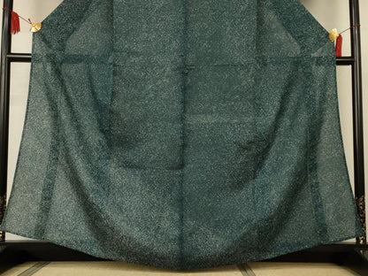 平和屋着物＊夏物　訪問着　絽　霞文　高島屋扱い　正絹　逸品　未使用　AABK2657jd