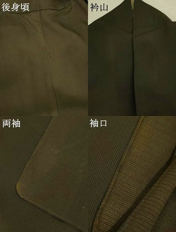 平和屋着物＊夏物　訪問着　絽　草花文　黒地　正絹　逸品　AABK2683jd