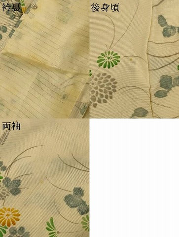 平和屋着物＊夏物　小紋　絽　草花文　正絹　逸品　AABK2719jd