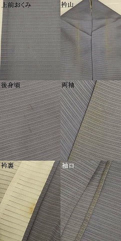 平和屋着物＊夏物　訪問着　絽　風鈴　銀彩　健勝苑扱い　正絹　逸品　AABK2720jd
