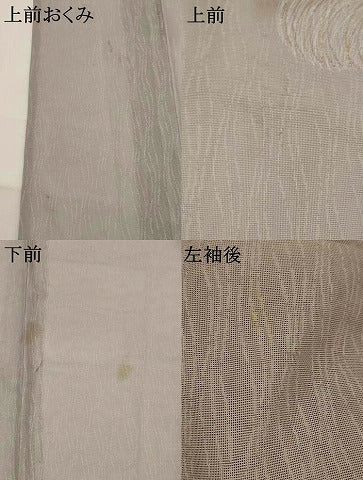 平和屋着物＊夏物　訪問着　紗　刺繍　草葉文　金糸　金彩　正絹　逸品　AABK2764st