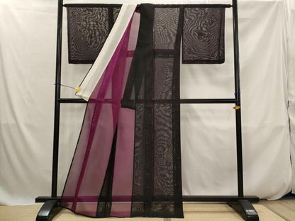 平和屋着物＊夏物　色無地　紗　黒色　正絹　逸品　未使用　AABK2770st