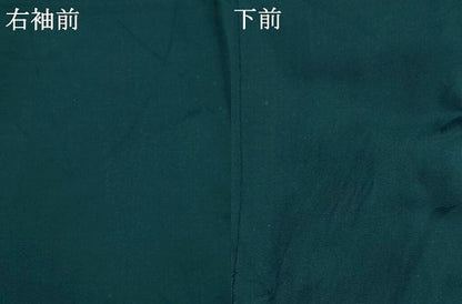平和屋着物＊夏物　色無地　紗　枝葉紋紗　百入茶色　正絹　逸品　AABK2776st