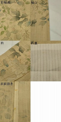 平和屋着物＊夏物　小紋　生紬　手描き　草花文　正絹　逸品　AABK2786st