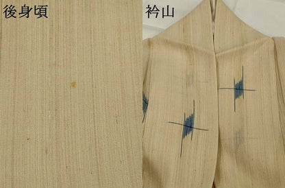 平和屋着物＊夏物　紗紬　絣文様　正絹　逸品　AABK2792st