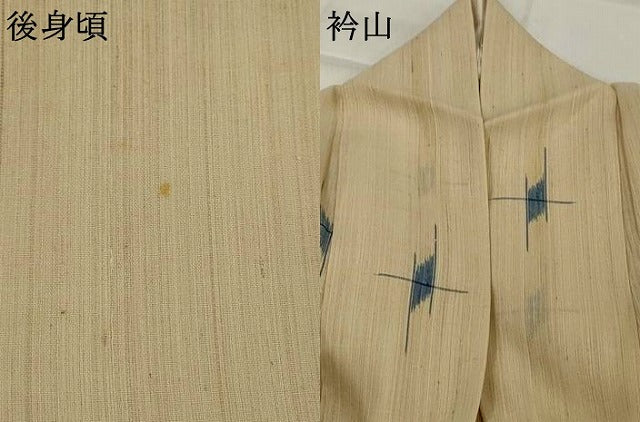 平和屋着物＊夏物　紗紬　絣文様　正絹　逸品　AABK2792st