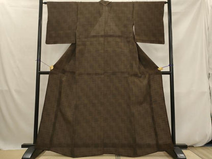 平和屋着物＊夏物　紗紬　琉球絣文様　正絹　逸品　AABK2801st