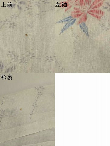 平和屋着物＊夏物　小紋　紗　草花文　洗える着物　AABK2803st