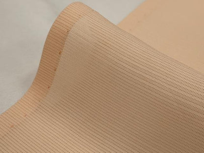 平和屋着物＊夏物　色無地　絽　一斤染色　正絹　逸品　AABK2842st