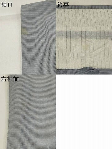 平和屋着物＊夏物　訪問着　絽　流水草花文　暈し染め　銀彩　正絹　逸品　AABK2889st