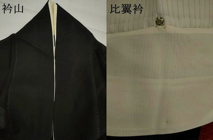 平和屋着物＊夏物　黒留袖　絽　作家物　手描き　鯉　暈し染め　AABK2891st