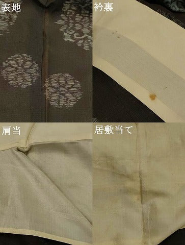 平和屋着物＊夏物　本場大島紬　夏大島　割り込み絣　舞花文　正絹　逸品　AABK2895st