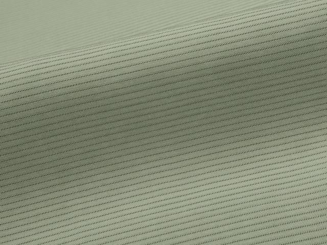 平和屋着物＊夏物　色無地　絽　千草色　正絹　逸品　AABK2902st