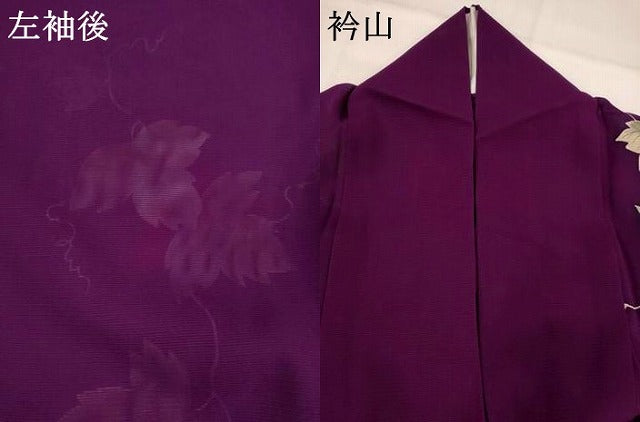 平和屋着物＊夏物　訪問着　絽　手描き　蔦の葉文　正絹　逸品　AABK2913st
