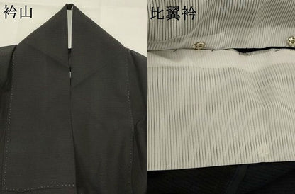 平和屋着物＊夏物　黒留袖　絽　地紙飛鳥花文　銀彩　洗える着物　AABK2934st
