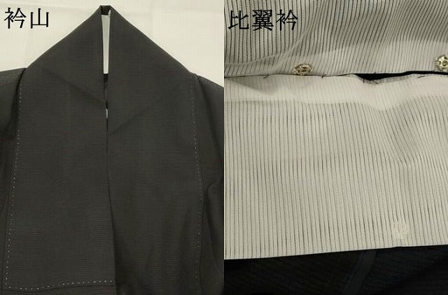 平和屋着物＊夏物　黒留袖　絽　地紙飛鳥花文　銀彩　洗える着物　AABK2934st