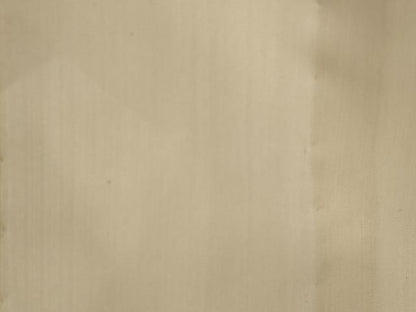 平和屋着物＊夏物　訪問着　紗　瓢箪蔦の葉文　さんび謹製　ロング丈　洗える着物　AABK2935st