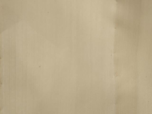 平和屋着物＊夏物　訪問着　紗　瓢箪蔦の葉文　さんび謹製　ロング丈　洗える着物　AABK2935st