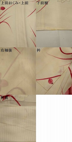 平和屋着物＊夏物　小紋　絽　草花文　銀彩　正絹　逸品　AABK2947st