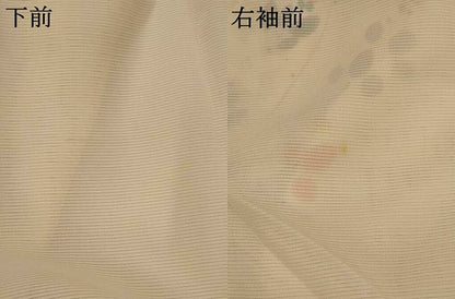 平和屋着物＊夏物　訪問着　絽　手描き　草花文　正絹　逸品　AABK2948st