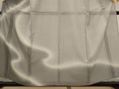 平和屋着物＊夏物　本塩沢　夏塩沢　訪問着　やまだ織　霞文　暈し染め　正絹　逸品　未使用　AABK2976st