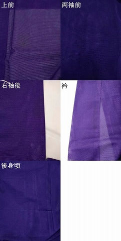 平和屋着物＊夏物　訪問着　絽　草花文　洗える着物　AABK2980st