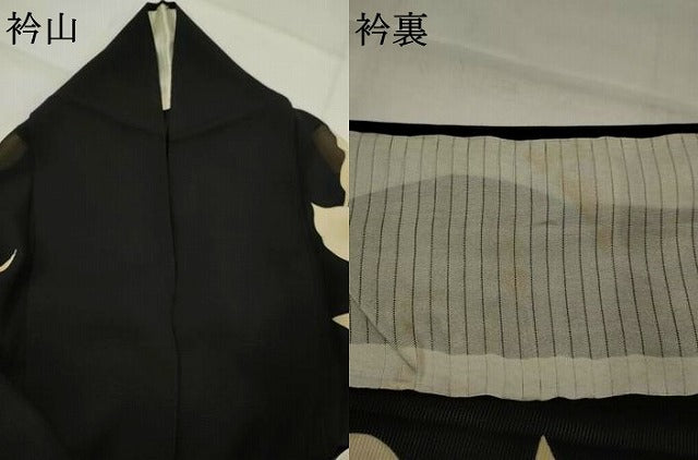 平和屋着物＊夏物　訪問着　絽　カラー　黒地　正絹　逸品　AABK3000st