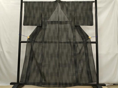 平和屋着物＊夏物　本塩沢　夏塩沢　110亀甲　変わり間道　黒地　正絹　逸品　AABK3010st